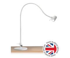 X100 desk-stand examination light